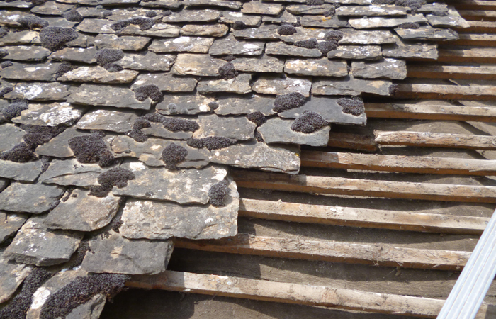 Flat Roofs & GRP Roofs Oxford  22